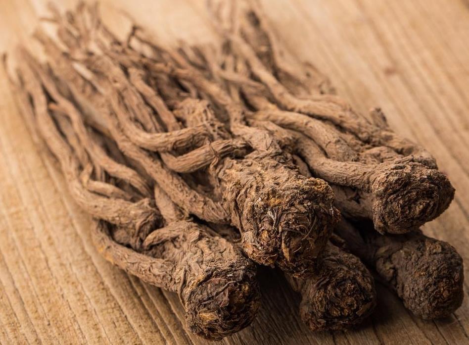 Title: Angelica Root: Unlocking the Secrets of This Versatile Herb for Optimal Health